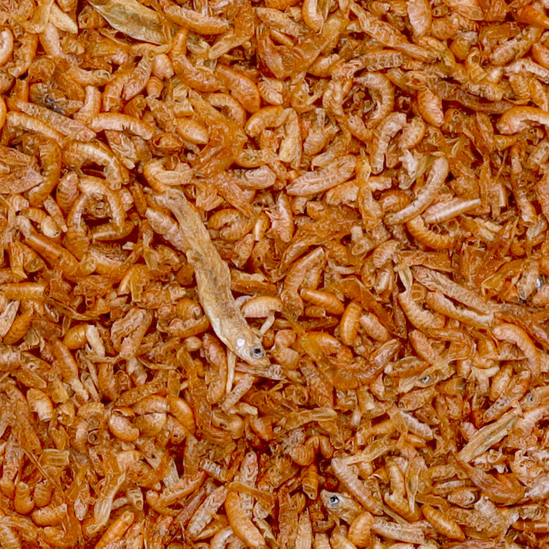 Détail de l’aliment – sera Turtle Gammarus Snack