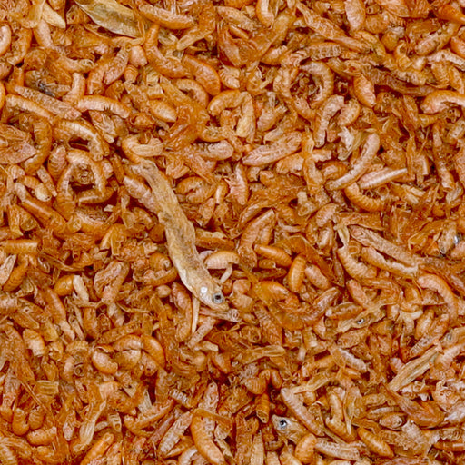 Détail de l’aliment – sera Turtle Gammarus Snack