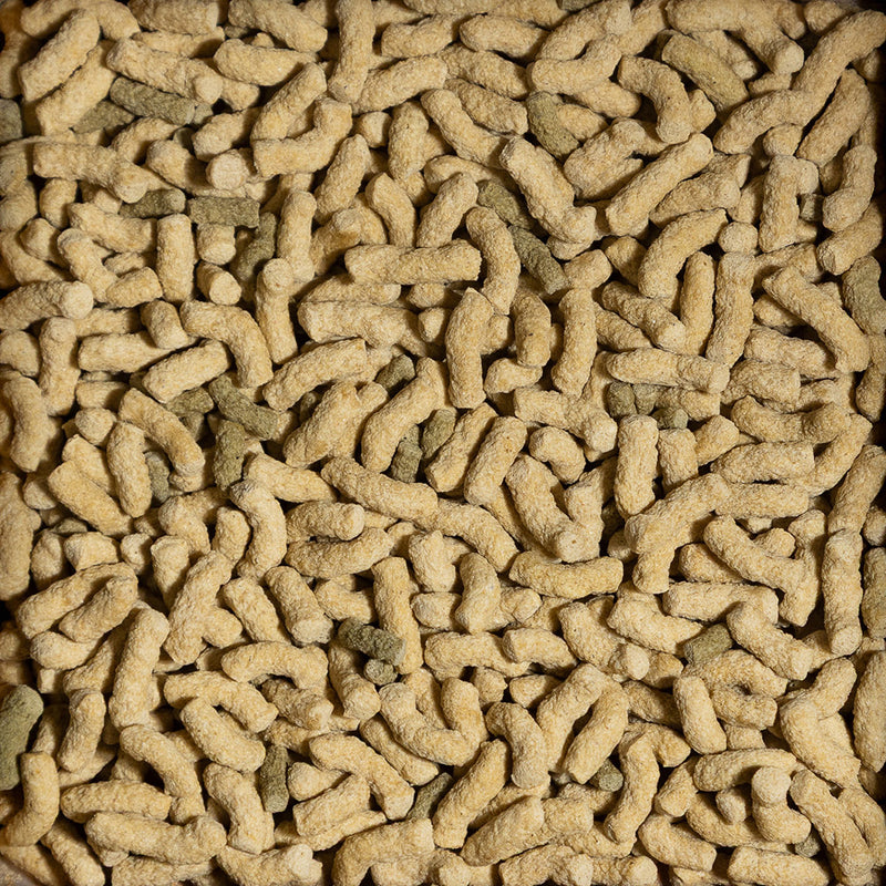 Détail de l’aliment – sera Turtle Adult Raffy P Pellets
