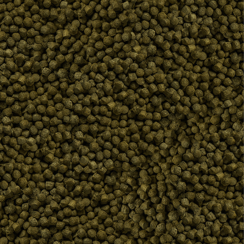 Détail de l’aliment – sera Koi Color Medium