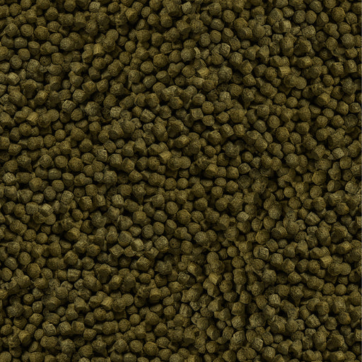 Détail de l’aliment – sera Koi Color Medium