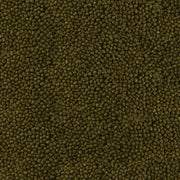 Détail de l’aliment – sera Koi Color Mini