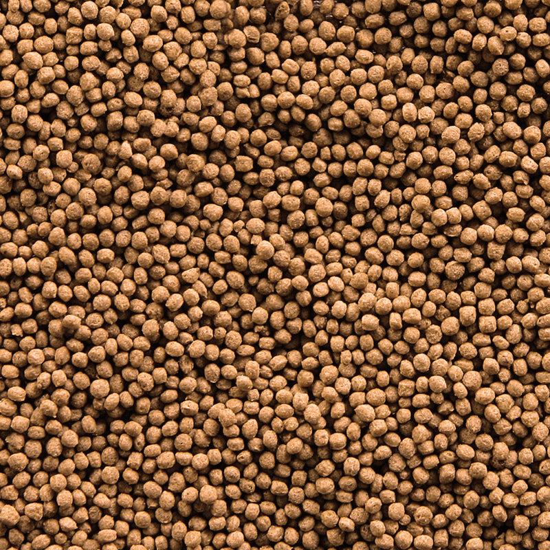 Détail de l’aliment – sera Koi Royal Mini