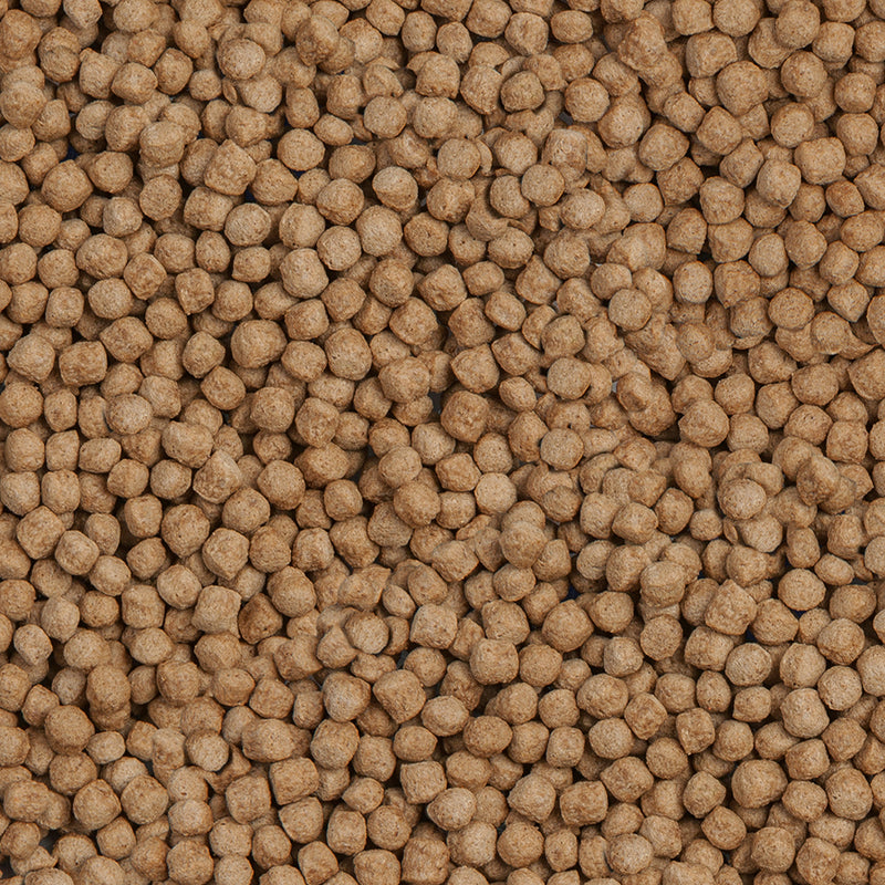 Détail de l’aliment – sera Koi Royal Medium