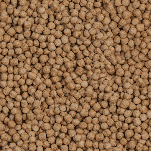Détail de l’aliment – sera Koi Royal Medium