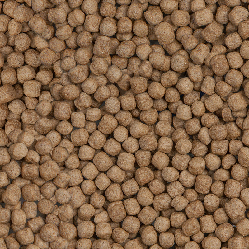 Détail de l’aliment – sera Koi Royal Large