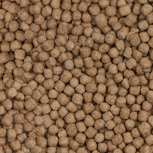 Détail de l’aliment – sera Koi Royal Large