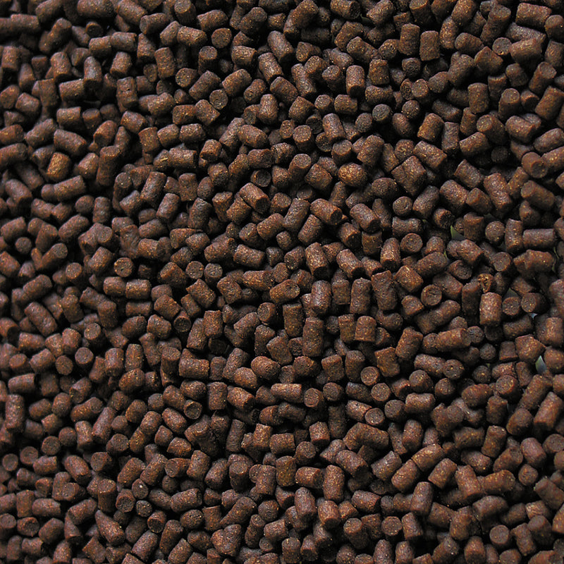 Détail de l’aliment – sera Sterlet Pellets