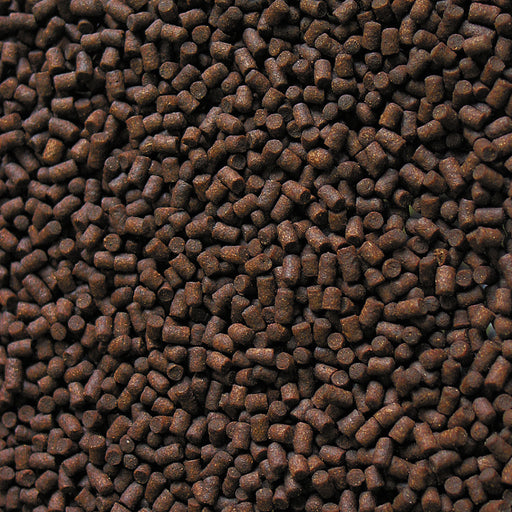 Détail de l’aliment – sera Sterlet Pellets