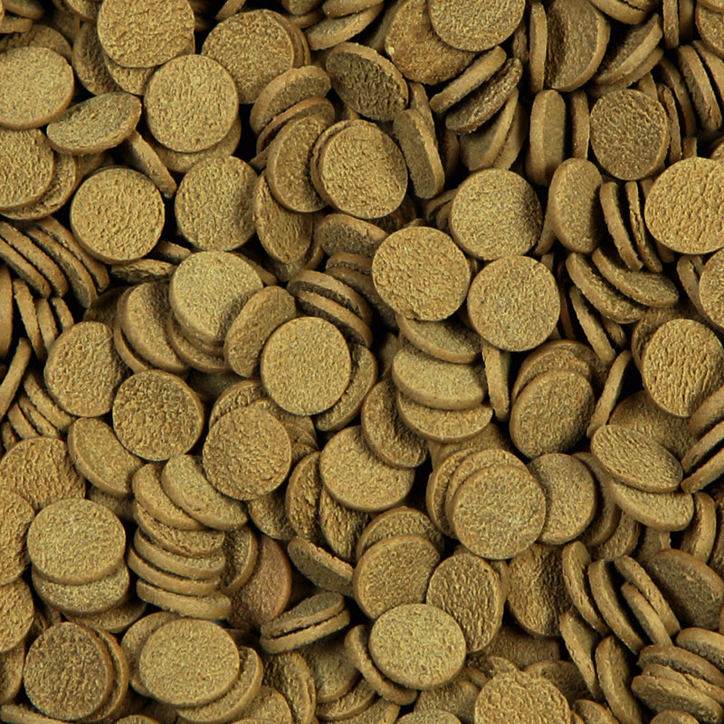 Détail de l’aliment – sera Sterlet Chips