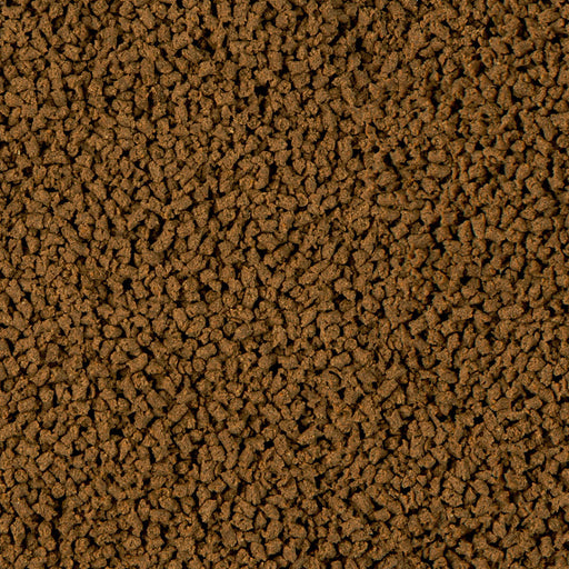 Détail de l’aliment – sera Insect Granules
