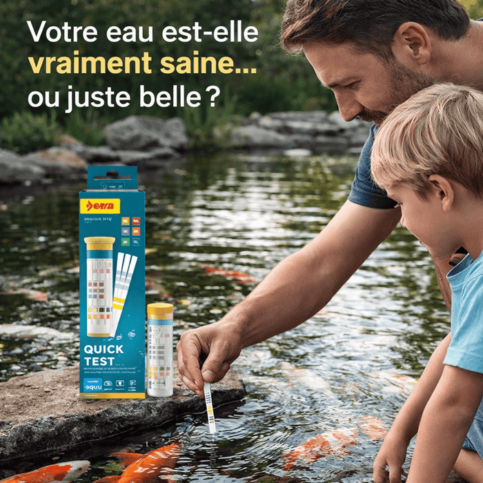 Sera Analyse d'eau Sera Quick Test - Testeur en bandelettes (50 pièces) - Spécial pour étangs et aquariums 4001942049603 04960