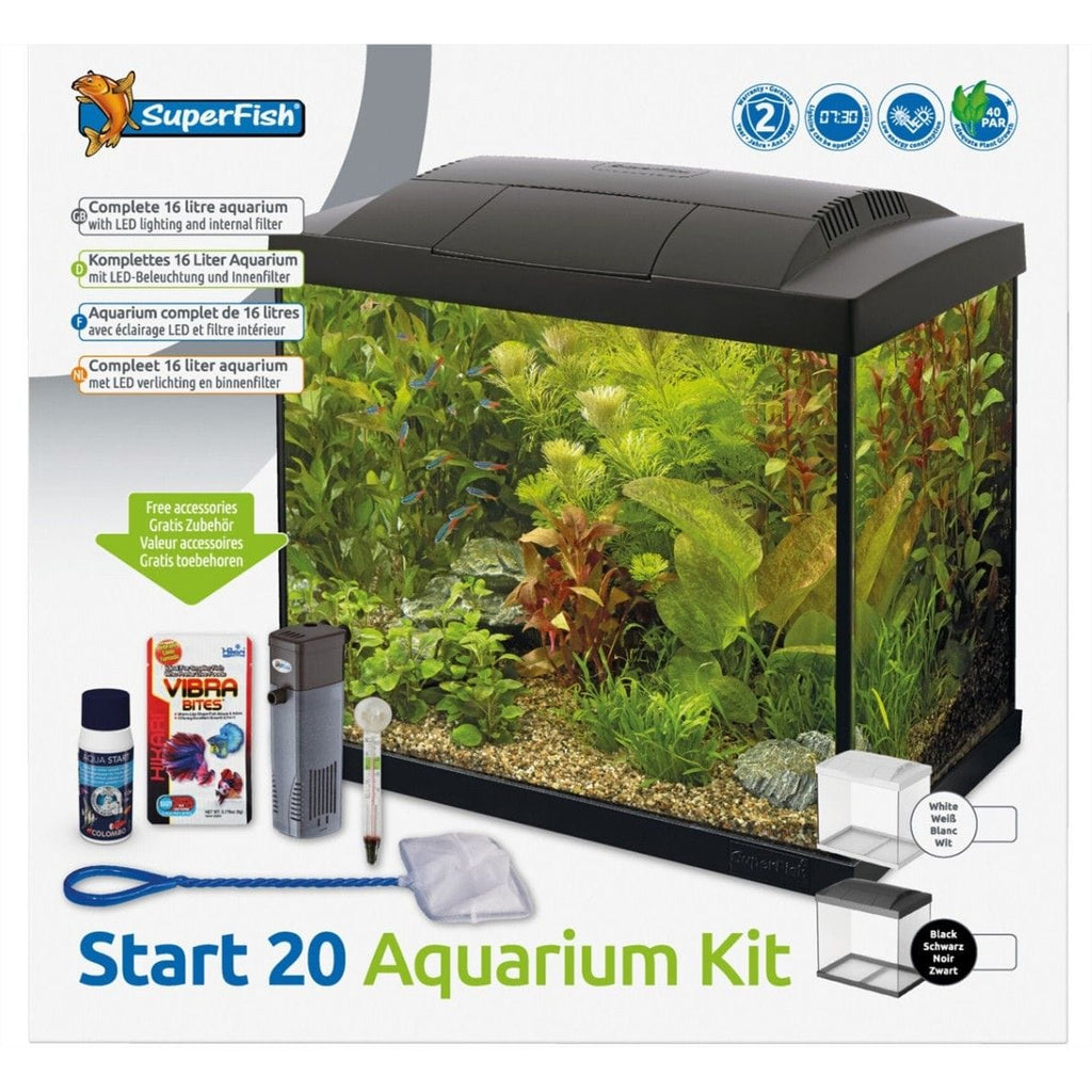 goldfish starter tropical fish tank
