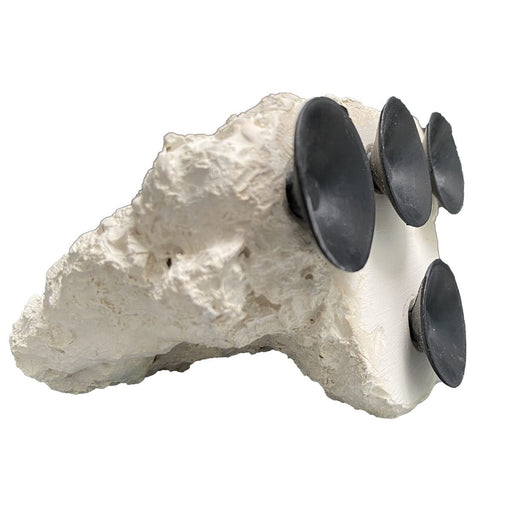 Superfish Marin Blue Marine Floating Rock Ventouses 4X 8715897338083 N7090470