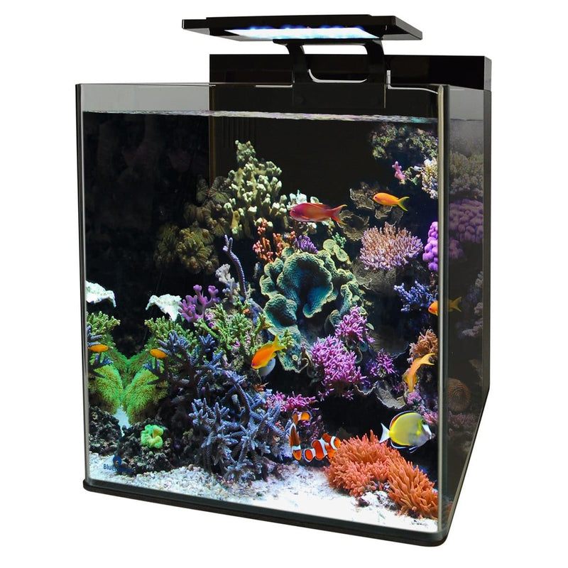 Superfish Marin Blue Marine Reef 90 Aquarium 8715897320705 N4055350