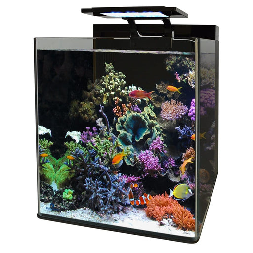 Superfish Marin Blue Marine Reef 90 Aquarium 8715897320705 N4055350