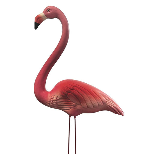Superfish Bassin Deco Bird Flamant Rose S - Superfish 8715897362811 06091013