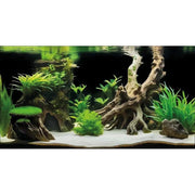 Superfish Aquarium Deco Poster G3 100X49 cm - Superfish 8715897358869 A4072195