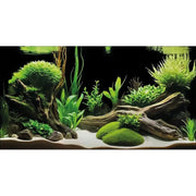 Superfish Aquarium Deco Poster G5 120X61 cm - Superfish 8715897358883 A4072205