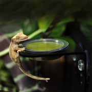 Superfish Reptile HabiStat Arboreal Feeding Ledge Simple 5027407014732 R3100025