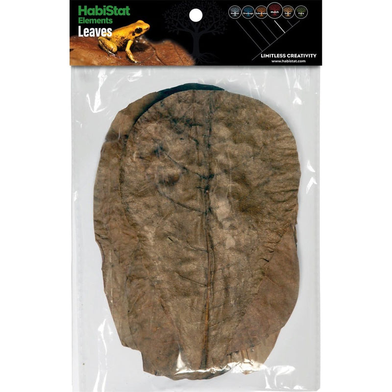 Superfish Reptile HabiStat Catappa Leaves x10 5027407018471 R5100825