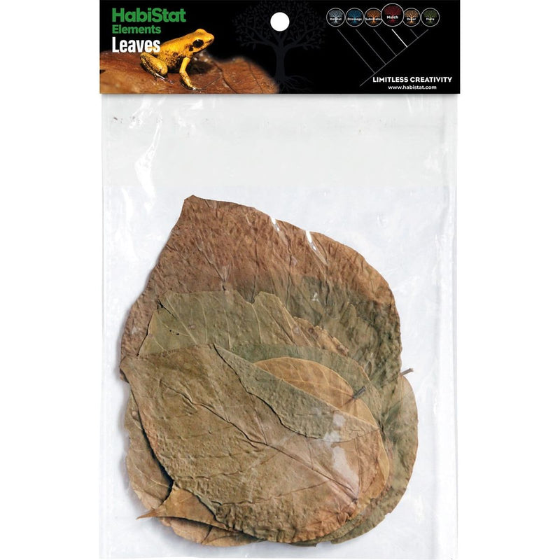 Superfish Reptile HabiStat Dadap Leaves x10 5027407018440 R5100830