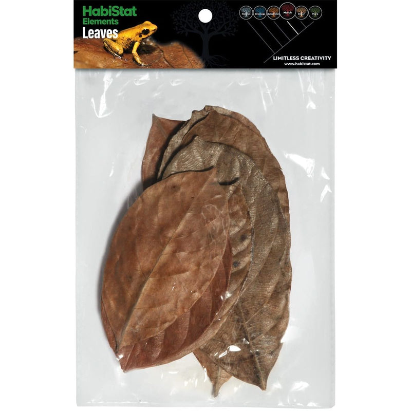 Superfish Reptile HabiStat Jackfruit Leaves x10 5027407018457 R5100835