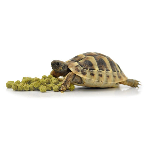 Superfish Reptile HabiStat Tortoise Food Banana 400 g 5027407014374 R8100020