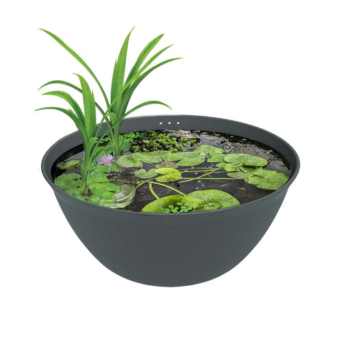 Superfish Medaka Bowl 600 - Bol Japonais pour Accueillir des poissons Medakas 8715897363122 C6050060