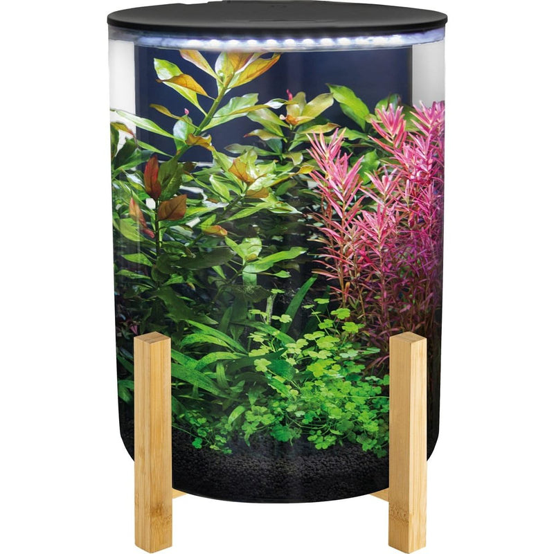 Superfish Aquarium Orbiq 11 Noir - Superfish 8715897366345 A4052455
