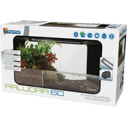Superfish Aquarium Paludra 60 - Superfish 8715897366543 A4052570