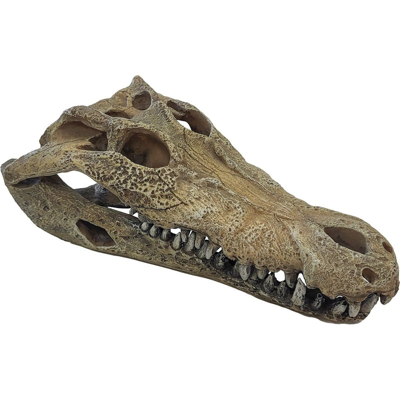 Superfish Reptile Repto Déco Crocodile L 8715897351228 R5100360