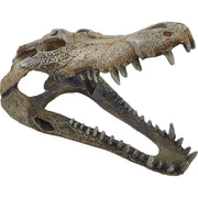 Superfish Reptile Repto Déco Crocodile L 8715897351228 R5100360