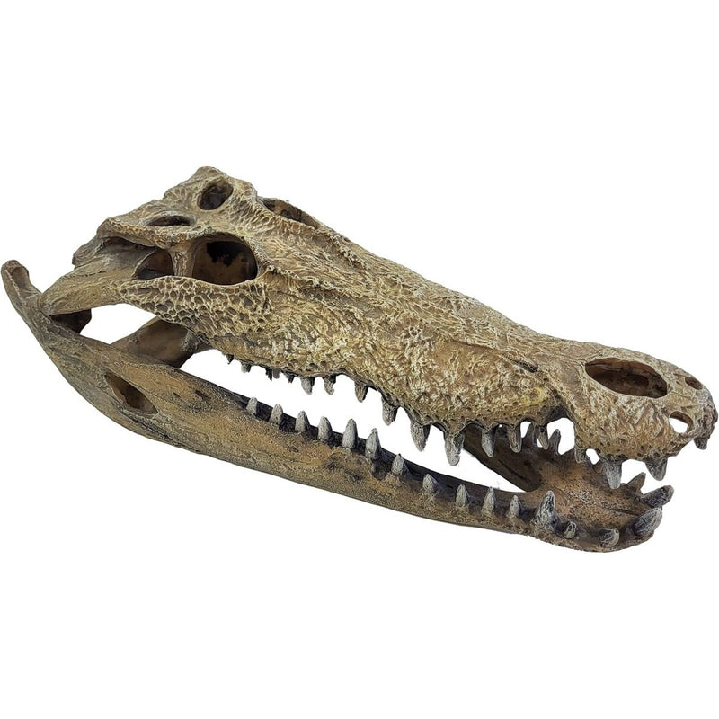 Superfish Reptile Repto Déco Crocodile XXL 8715897351235 R5100365