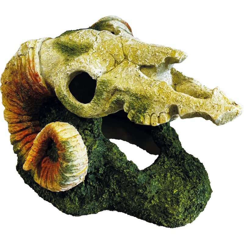 Superfish Reptile Repto Déco Goat Skull 8715897359569 R5100395