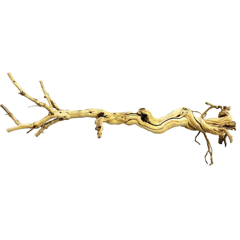 Superfish Reptile Repto Dragon Tree 90-105 cm 8715897365188 R5100280