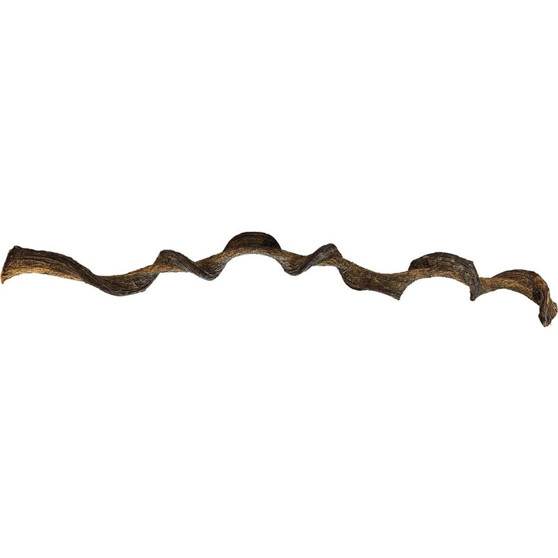 Superfish Reptile Repto Jungle Wood 95 cm 8715897359583 R5100265