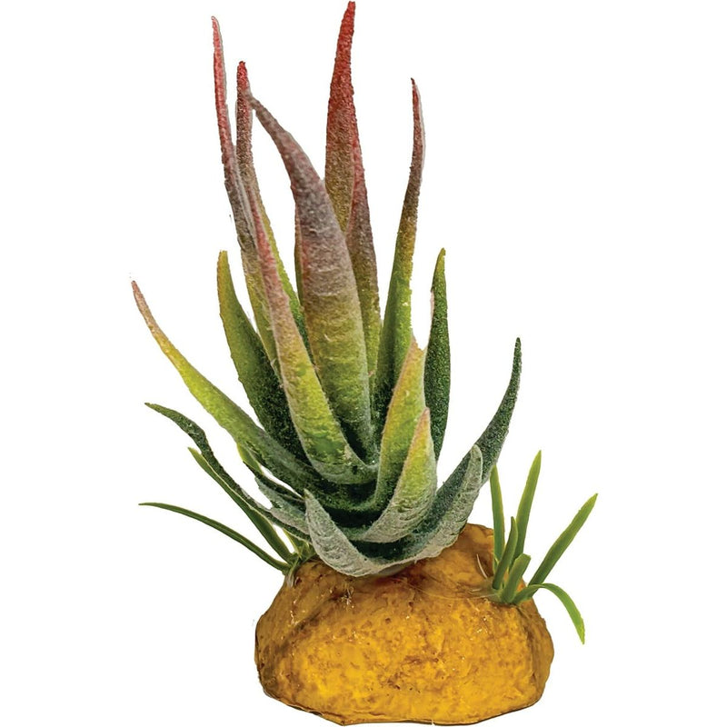 Superfish Reptile Repto Plant Aloe Pointe Rouge 8715897353611 R5100620