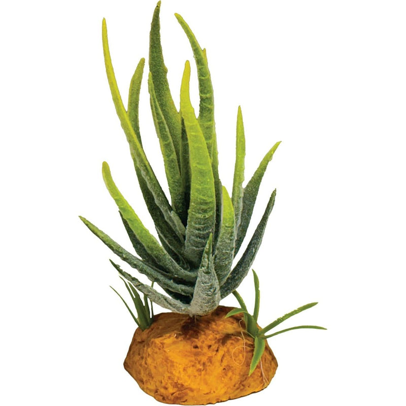 Superfish Reptile Repto Plant Aloe Verte 8715897353604 R5100615