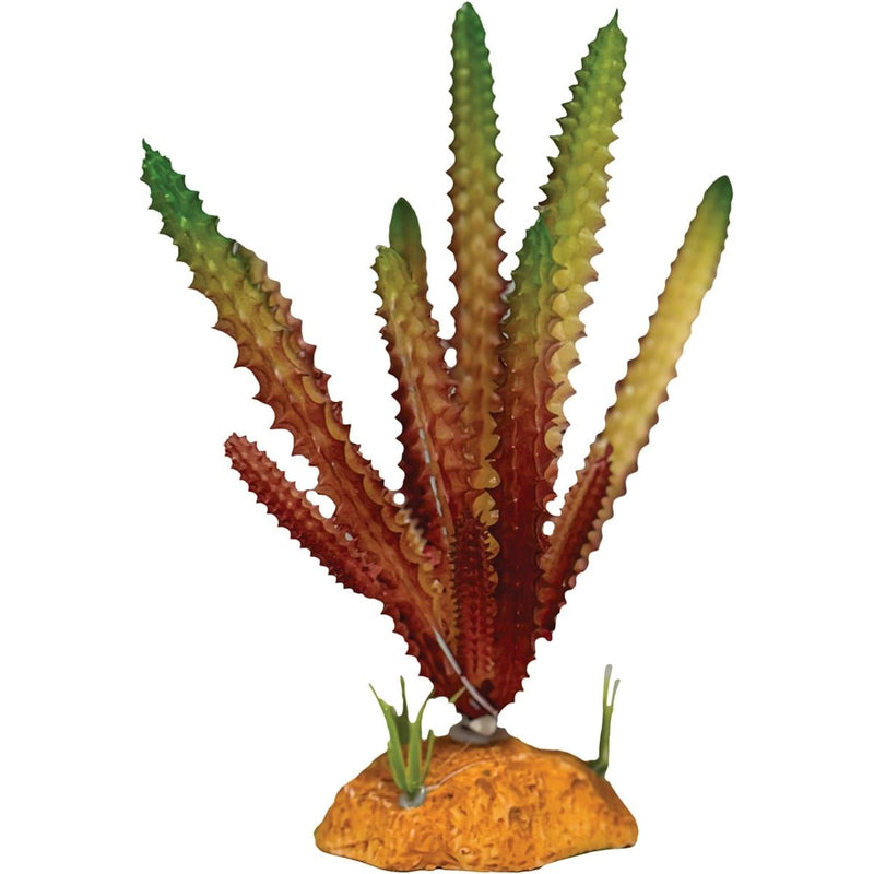 Superfish Reptile Repto Plant Cactus Needle Rouge 8715897353550 R5100590