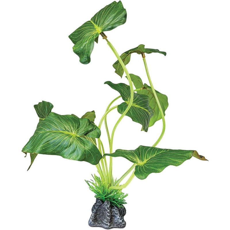 Superfish Reptile Repto Plant Oreille D'Éléphant Debout 8715897351150 R5100470