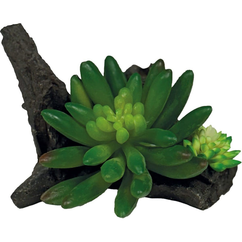 Superfish Reptile Repto Plant Succulente Sur Déco 8715897353482 R5100555