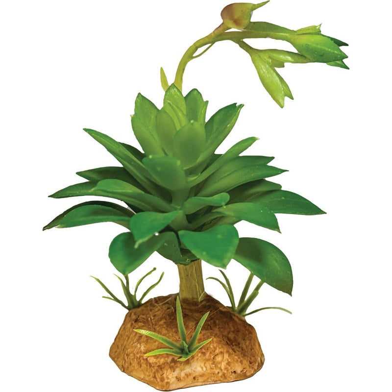 Superfish Reptile Repto Plant Succulente Verte 8715897353635 R5100630