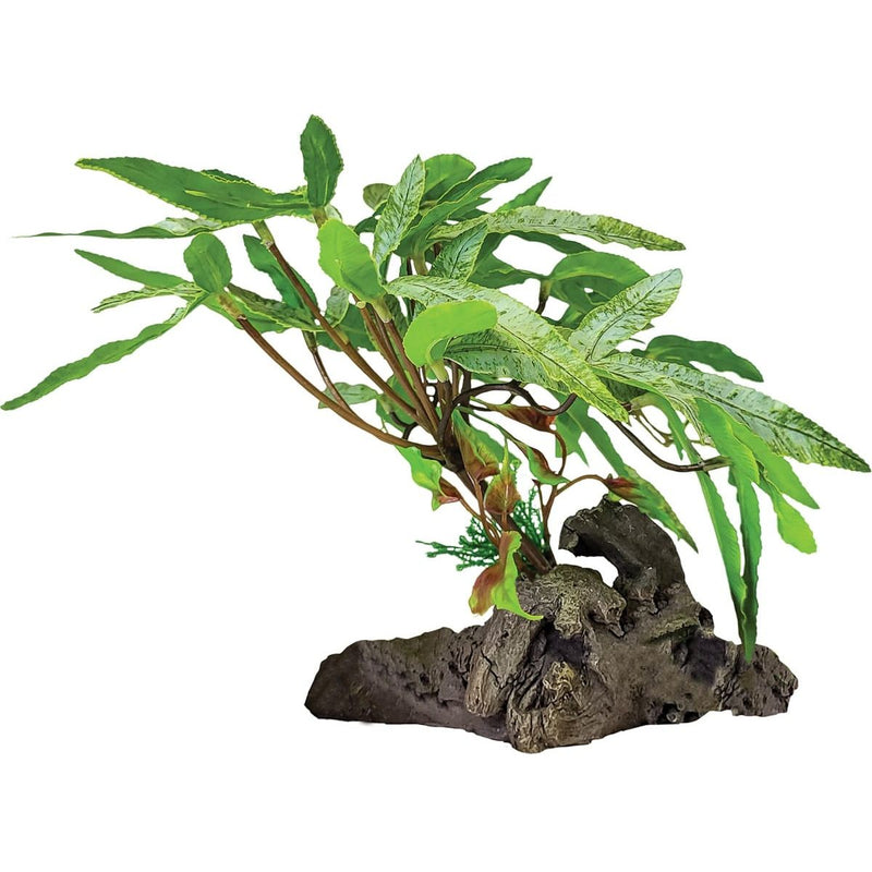Superfish Reptile Repto Plant Sur Déco À 3 Feuilles Pointues 8715897351068 R5100425