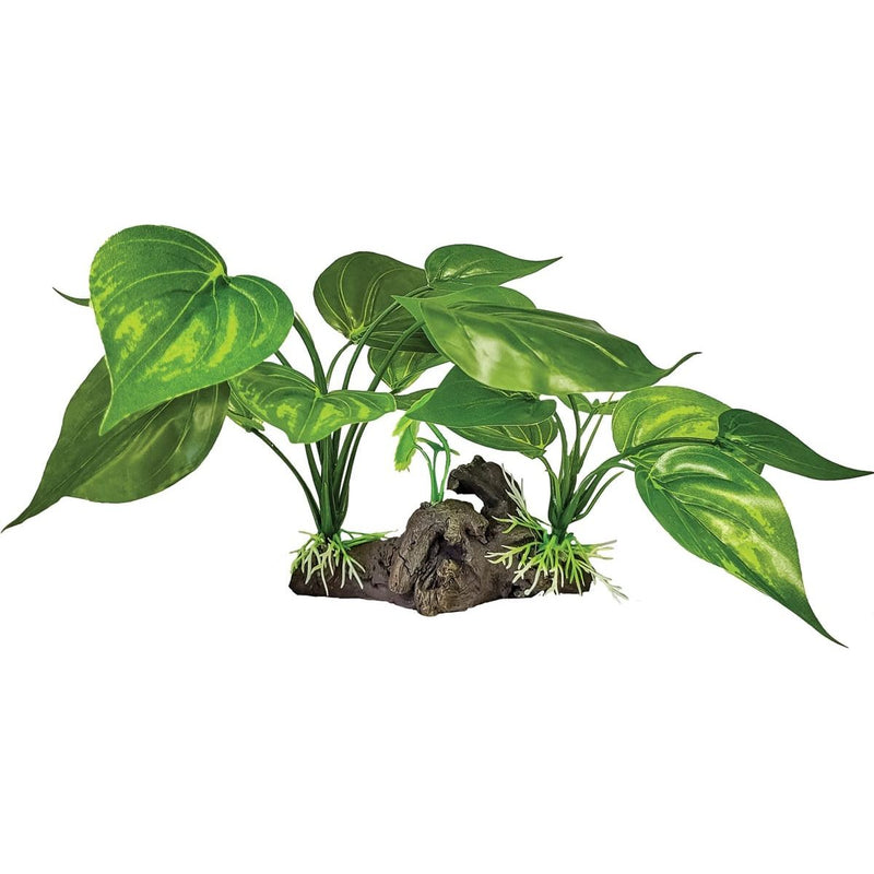 Superfish Reptile Repto Plant Sur Déco Verte Claire 8715897351099 R5100440