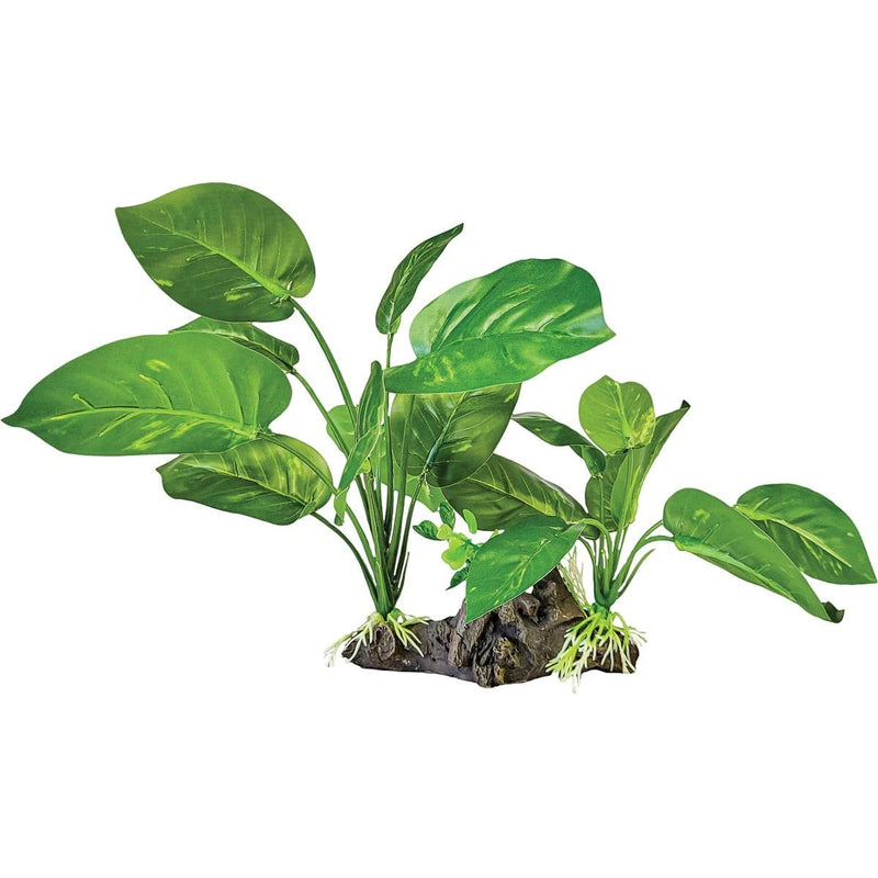 Superfish Reptile Repto Plant Sur Déco Verte Foncée 8715897351075 R5100430