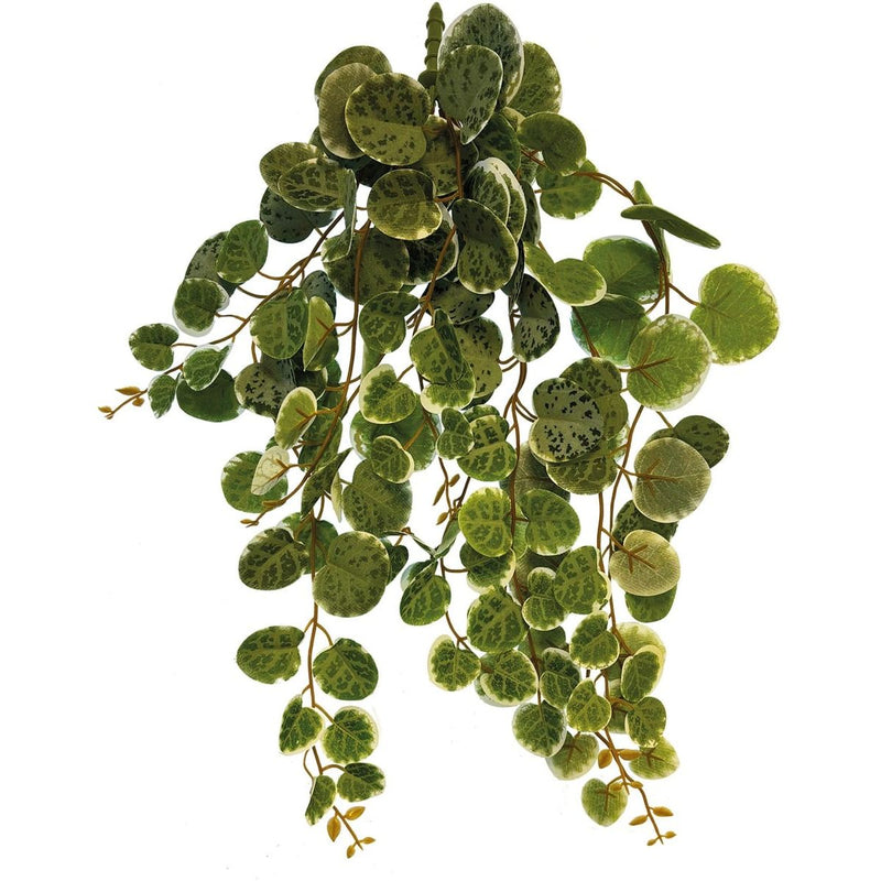Superfish Reptile Repto Plant Suspendue Feuilles Rondes 46 cm 8715897351020 R5100405