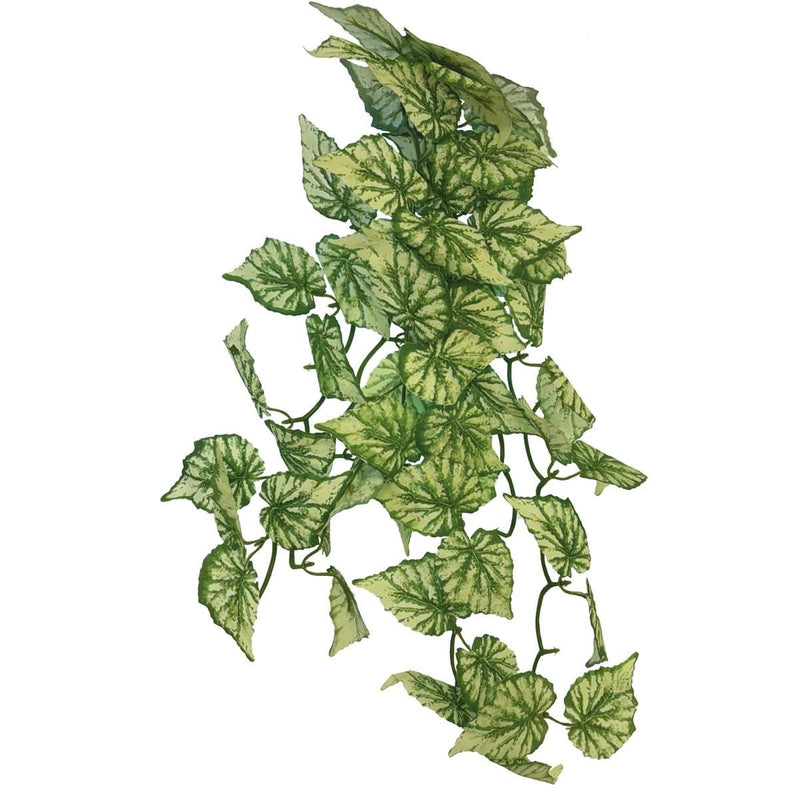 Superfish Reptile Repto Plant Suspendue Hedera 65 cm 8715897351051 R5100420