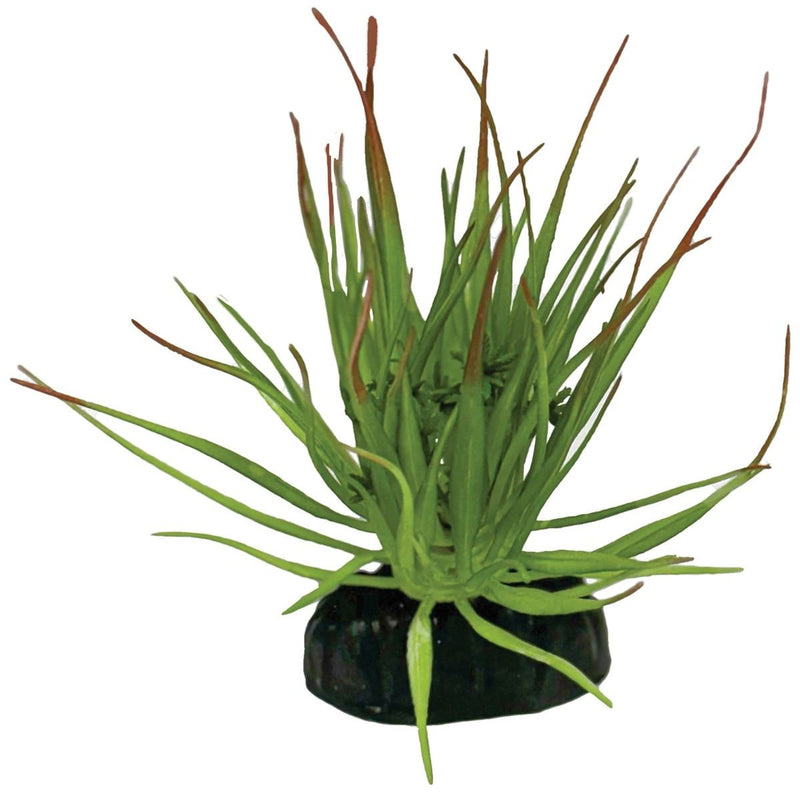 Superfish Reptile Repto Plant Tillandsia Ion 8715897353505 R5100565