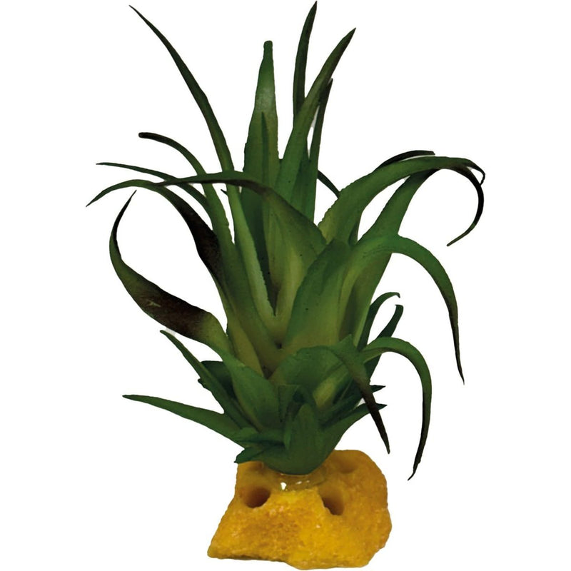 Superfish Reptile Repto Plant Tillandsia 8715897353499 R5100560